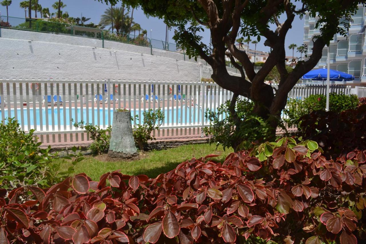 Red Loft Deluxe - Vivienda Vacacional a Playa del Inglés Appartamento Esterno foto